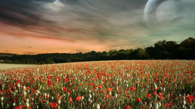 怎么看待临汾市人民医院手术死者家属称全麻气管规培生插到胃里?